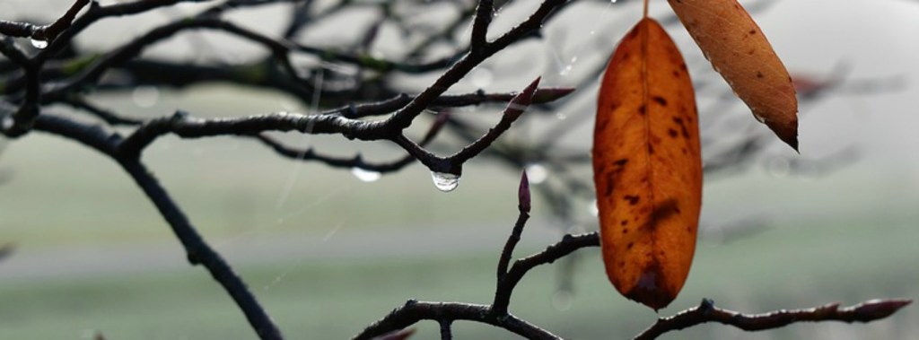 Gehen auf kurze Sicht