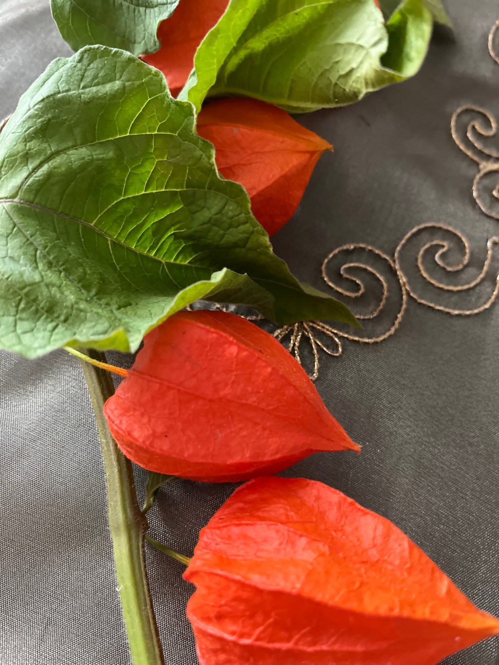 Ihr Fokus im Oktober