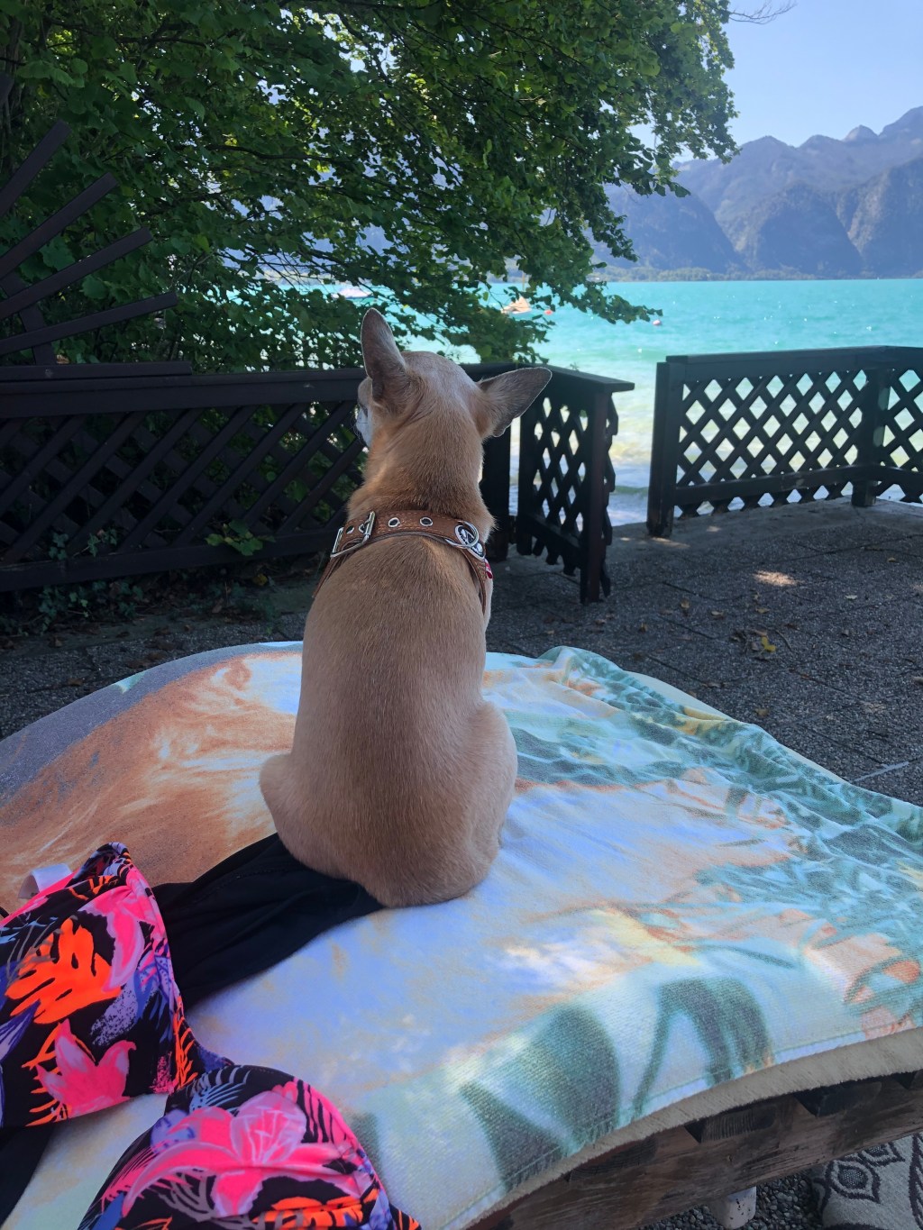 „Es gibt net so viel Tag im Jahr…