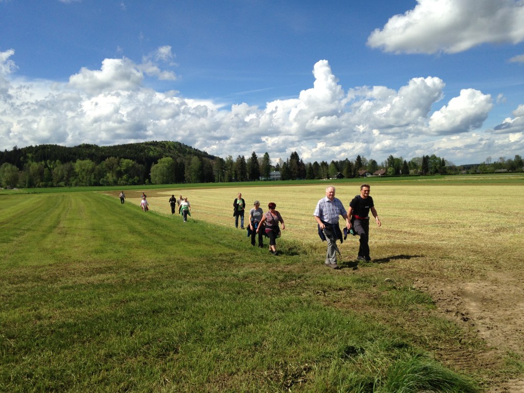 Impuls-Wandern am Attersee